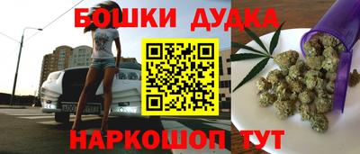 стаф Лесосибирск