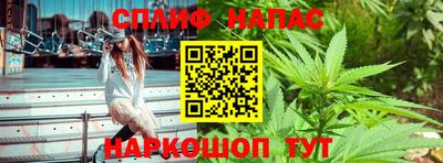 гашик Ливны